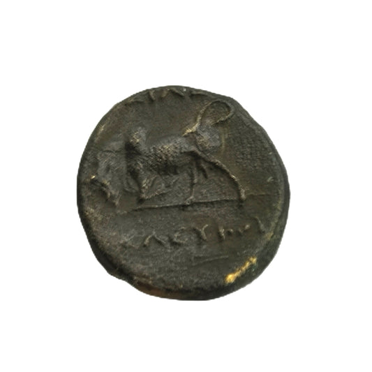 Seleucid Kingdom Seleucus I Nicator Chalque Antioch Mint Coin