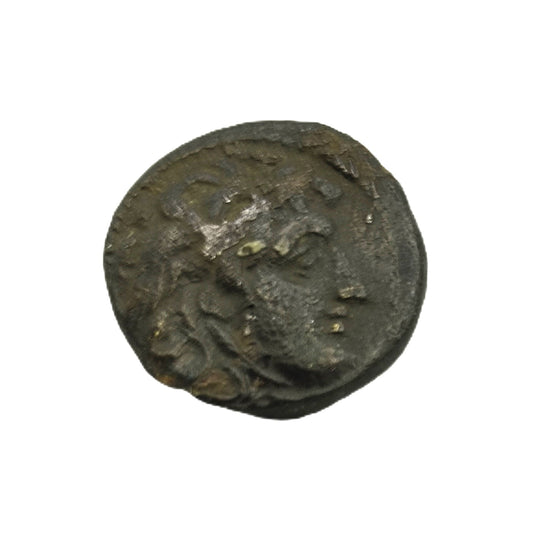 Seleucid Kingdom Seleucus I Nicator Chalque Antioch Mint Coin