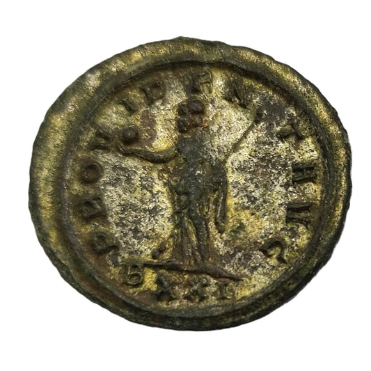 Probus 276-282 AD Roman Antoninianus Coin Rome Mint